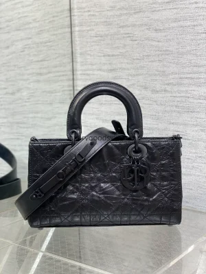 Dior waxed leather series