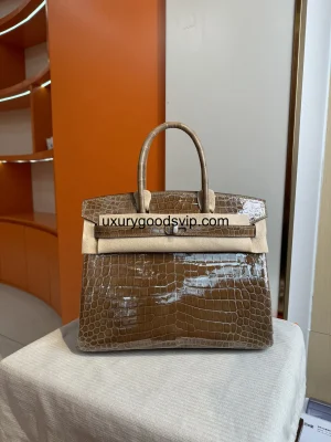 Hermes platinum crocodile leather 25cm