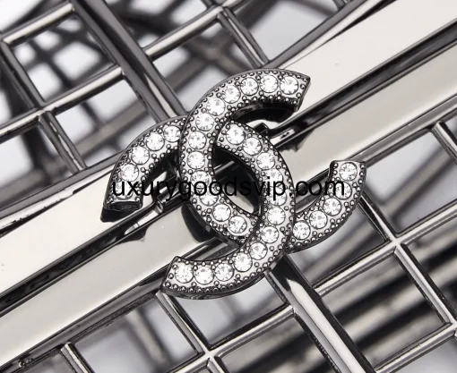 4_5_11zon Chanel Birdcage Evening Bag